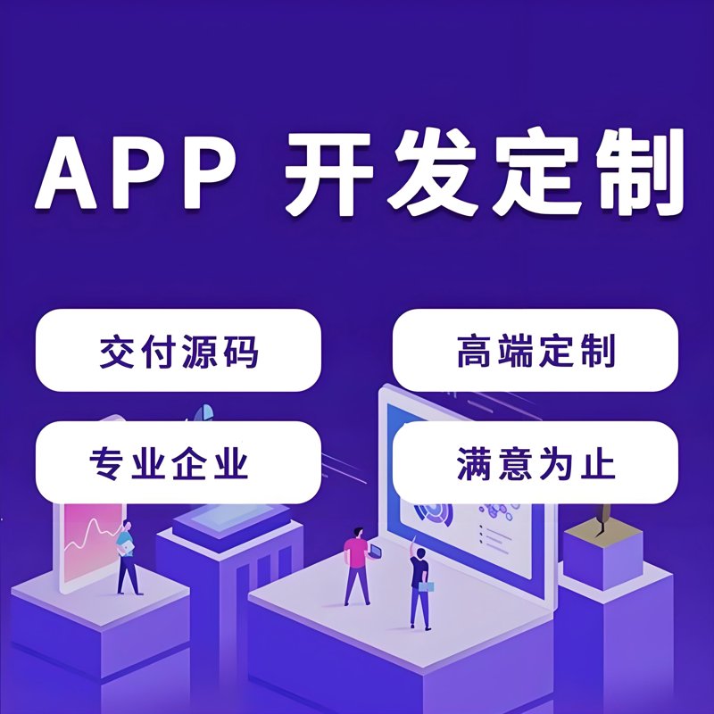 软件技术服务
